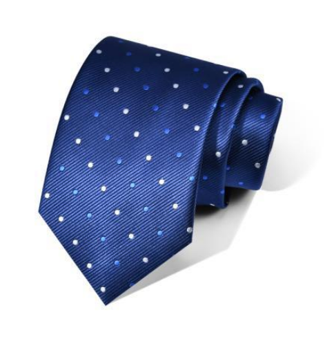 Zegami Men Tie "Navy Blue Polka Dots"